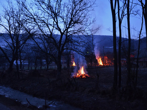 Foto Mijeste a ziua (c) Lucian Petru Goja